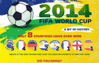 2014 FIFA World Cup Infographic