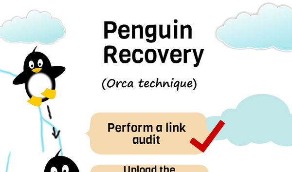 You are currently viewing Penguin Recovery [Infographic]