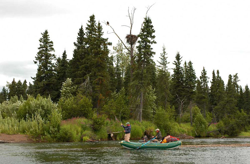 You are currently viewing Nushagak River Fishing