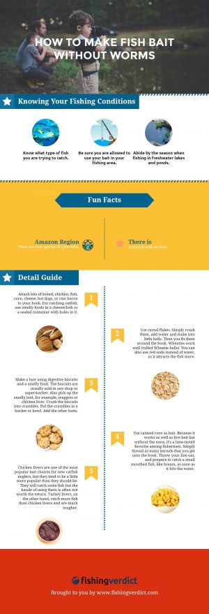 Read more about the article How to Make Fish Bait Without Worms [Infographic]